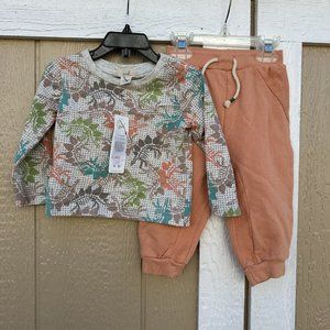 New Peek Kids 2 Piece Set Dinosaur Dino Fossil Size 12-18 Months Top Pants